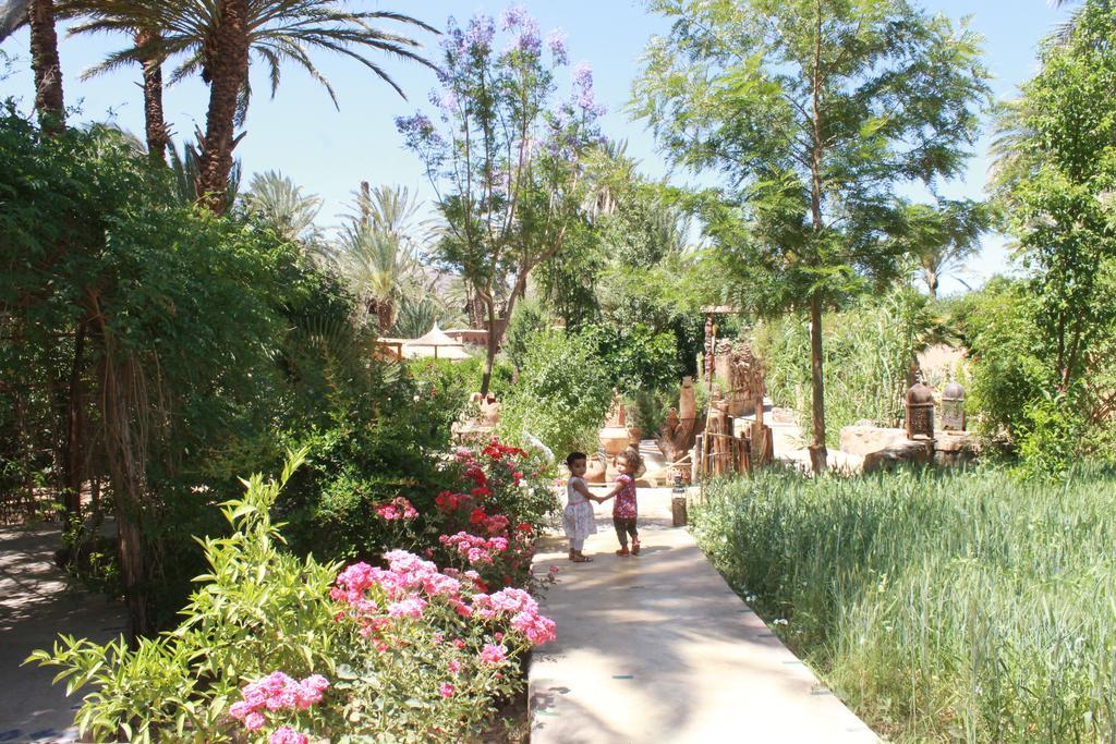 Ecolodge Bab El Oued Maroc Oasis Агд Экстерьер фото