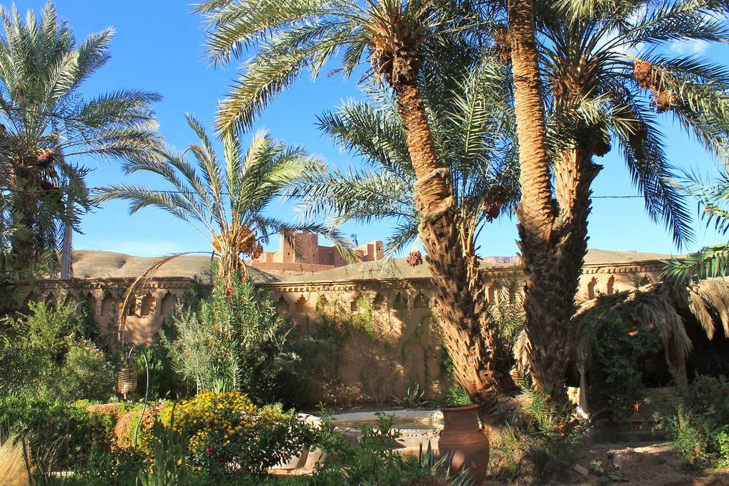 Ecolodge Bab El Oued Maroc Oasis Агд Экстерьер фото