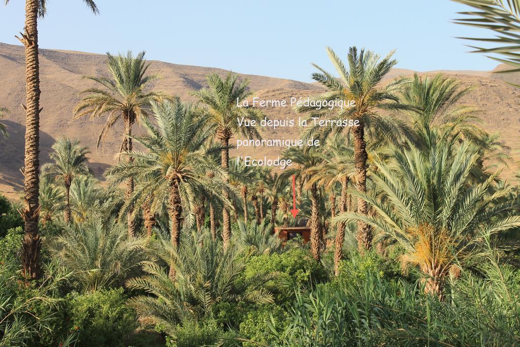 Ecolodge Bab El Oued Maroc Oasis Агд Экстерьер фото