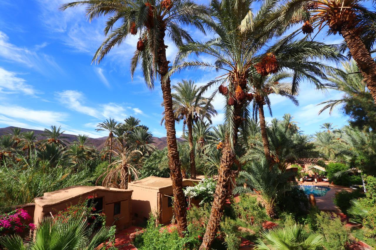 Ecolodge Bab El Oued Maroc Oasis Агд Экстерьер фото