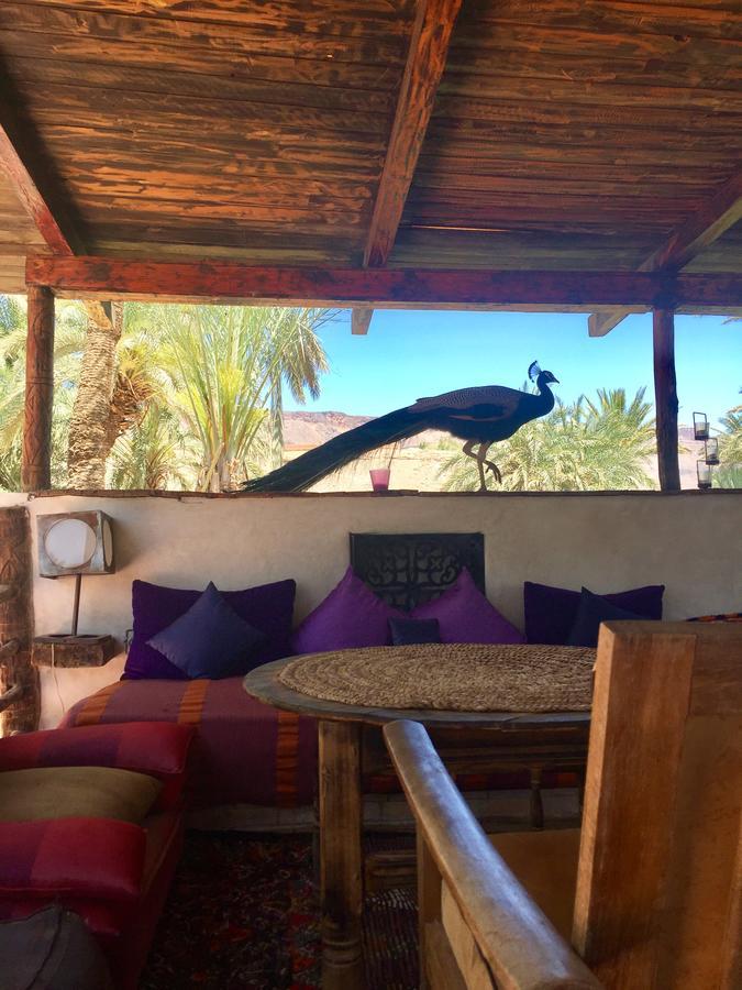 Ecolodge Bab El Oued Maroc Oasis Агд Экстерьер фото